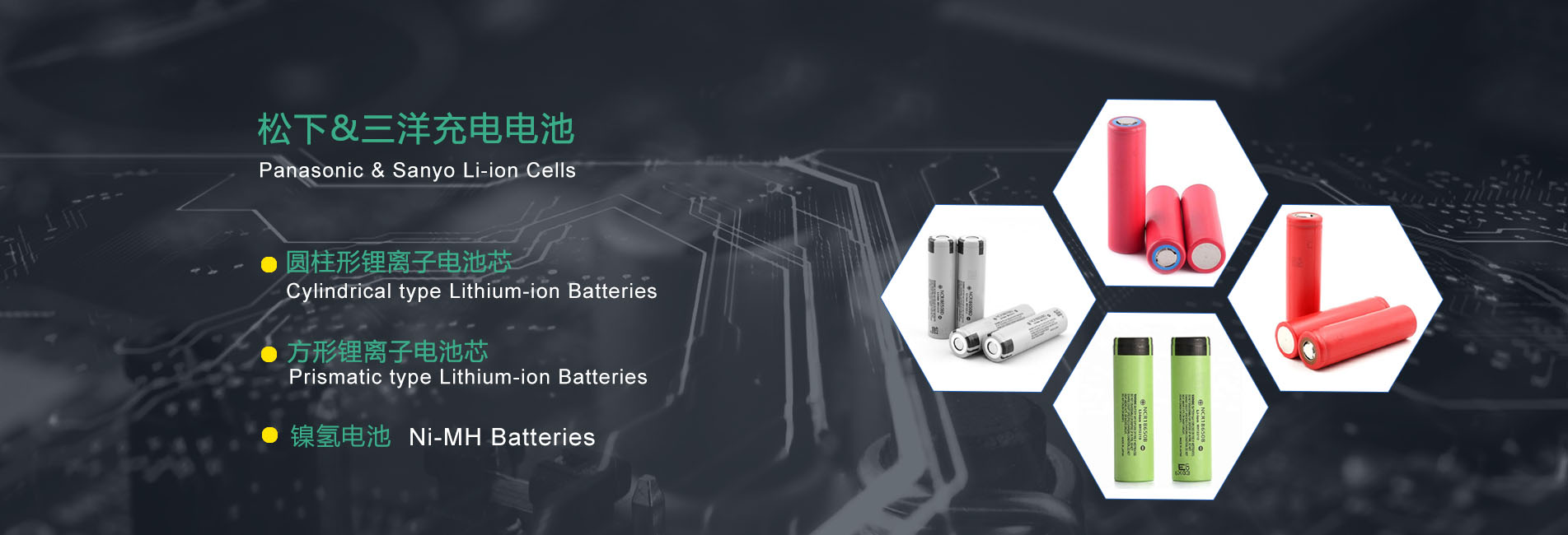 Panasonic Battery Cells